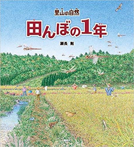 田んぼの1年