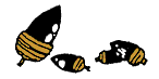 どんぐり