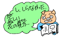 しらなかった、正しい花の見方…